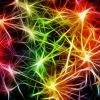 Neurony: Informační profesionálové 