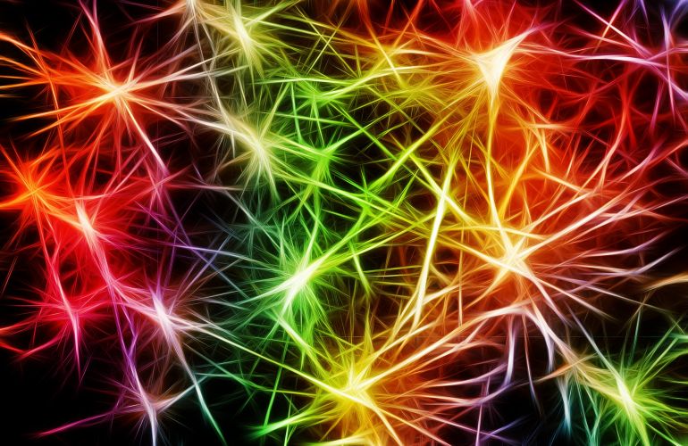 Nervové buňky se nazývají neurony