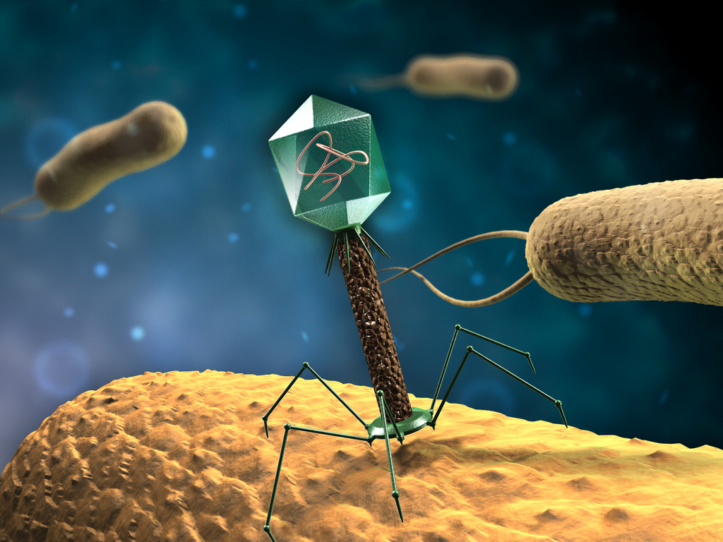 Co jsou bakteriofágy?